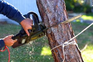 AHS-Tree-Removal-Service Bloomington
