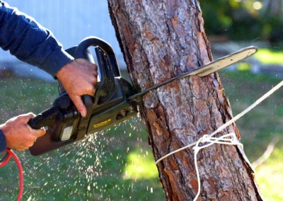 AHS-Tree-Removal-Service Bloomington