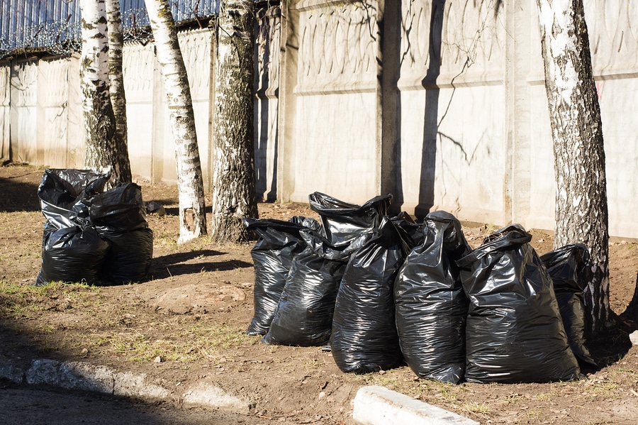 Spring Cleanup Bloomington Image