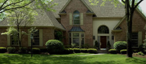 Bloomington-Tree-Removal-and-Lawn-Care-Anthonys-Home-Services