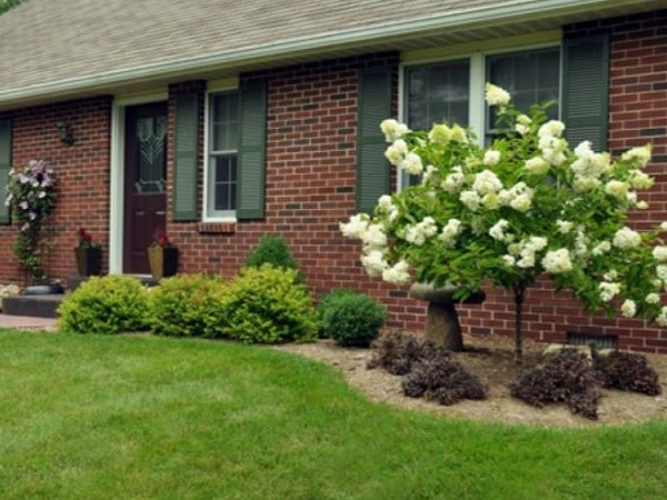 Landscaping-Bloomington-In