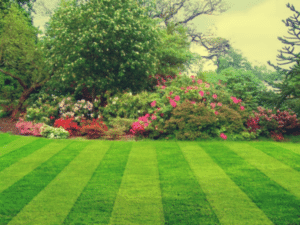 What Makes a Great Landscape Company