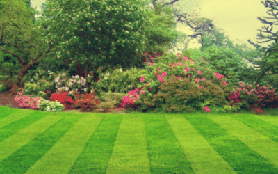 What makes the best landscaping companies in Bloomington?