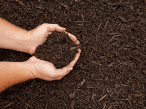 Mulching-Services-Bloomington-Indiana