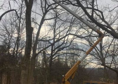 Bucket Truck Image