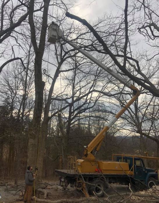 Bucket Truck Image