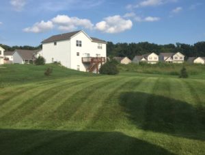 Lawn Mowing Example 1