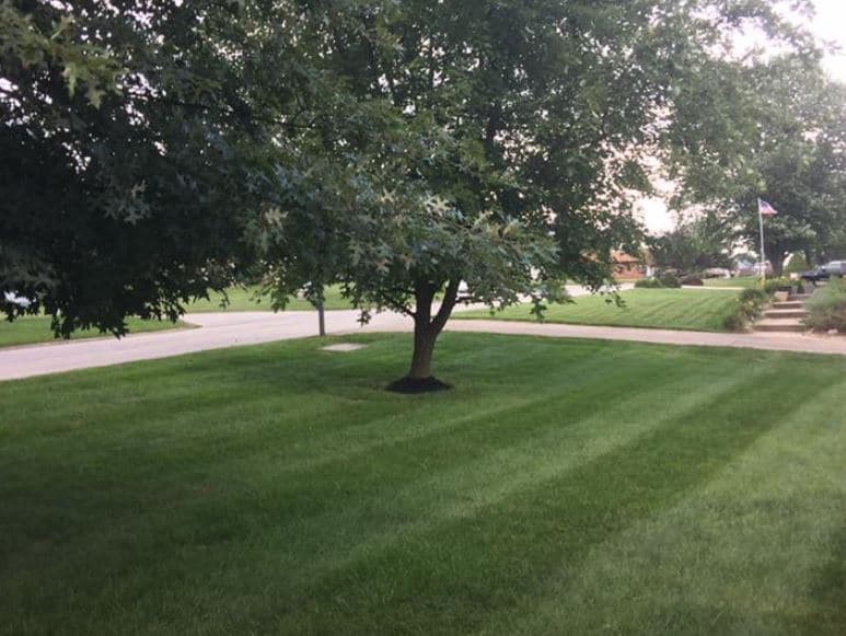 When To Aerate Your Indiana Lawn