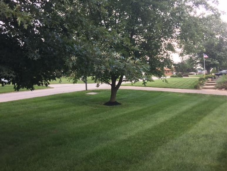 https://www.bloomingtonlandscape.com/wp-content/uploads/2020/01/Lawn-Mowing-Example-2.jpg