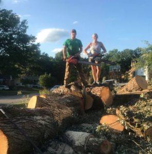 Tree Cleanup