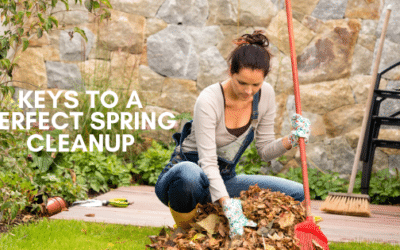 Keys To a Proper Yard Cleanup