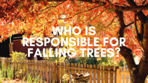 Who is responsbile for falling trees