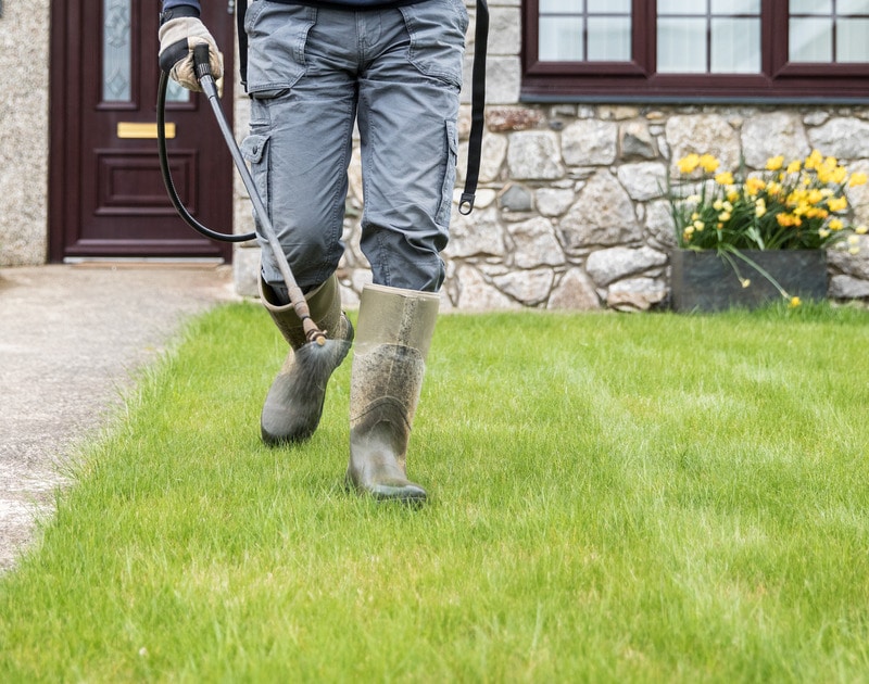 How To Control Weeds In Your Lawn