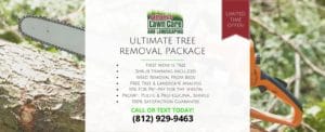 Tree Removal Package