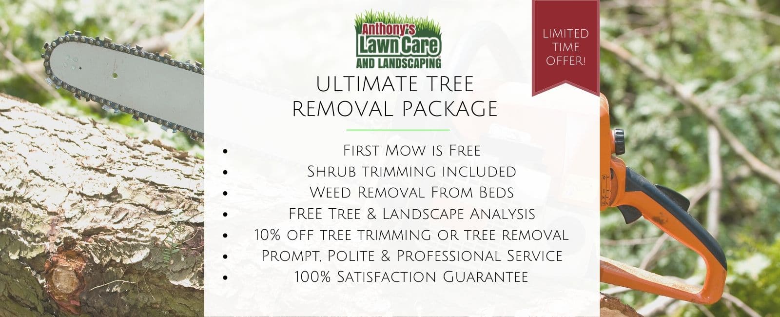 Tree Removal Package