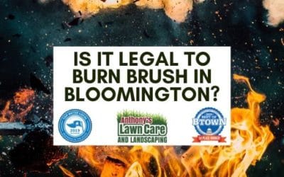 Is It Legal To Burn Brush and Debris in Bloomington Indiana?