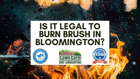 Is It Legal To Burn Brush and Debris in Bloomington Indiana?