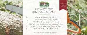 Ultimate Tree Package Updated