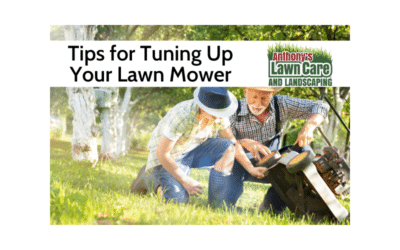 Tips For Tuning Up Your Lawnmower
