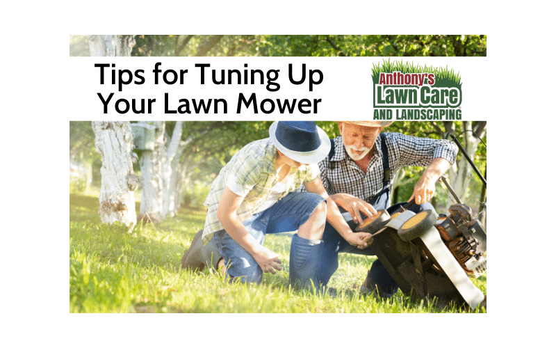Tips for Tuning Up Your Lawnmower ALC