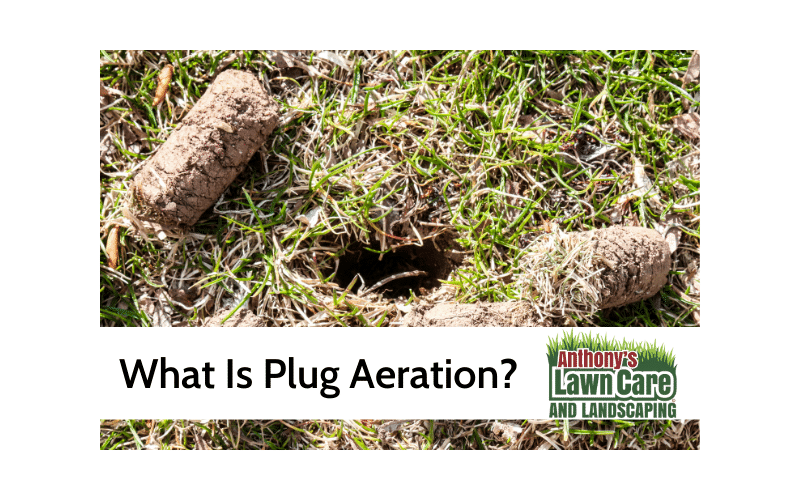 What is Plug Aeration Bloomington Landscaping Tips