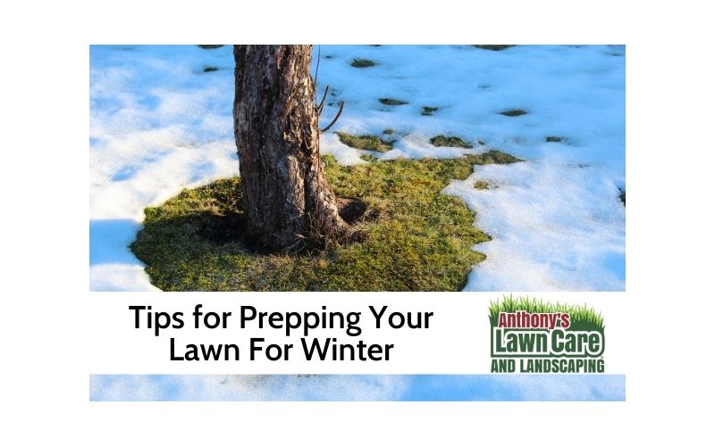 Tips For Prepping Your Lawn For Winter