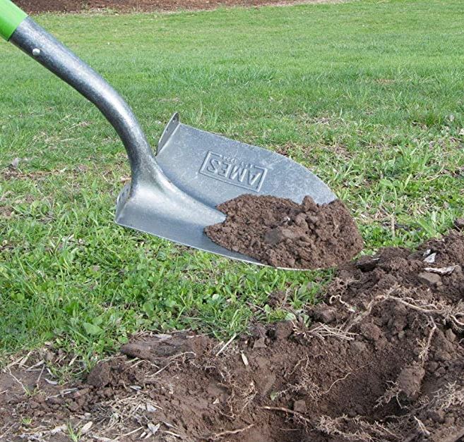 Shovel