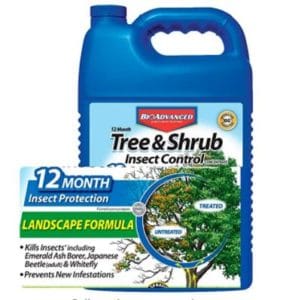 Tree And Shrub Pest Control
