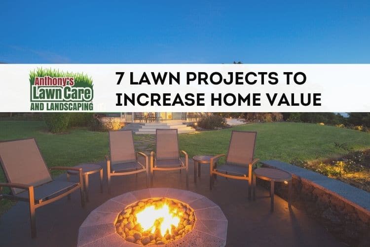 7 lawn projects to increase curb appeal and home value