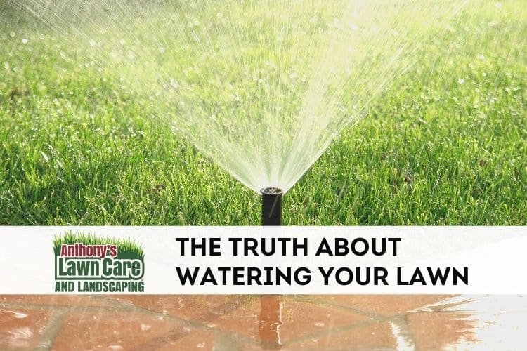 Truth about Watering Your Lawn