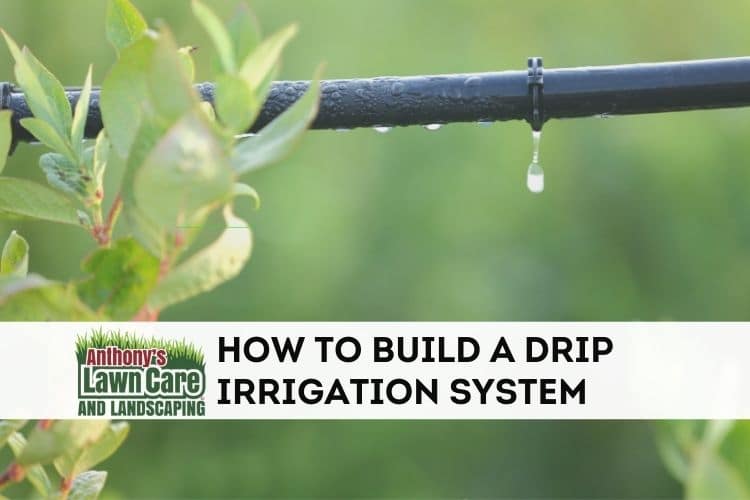 Setting up your own drip irrigation for a garden