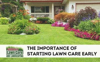 When To Start Landscaping After Winter