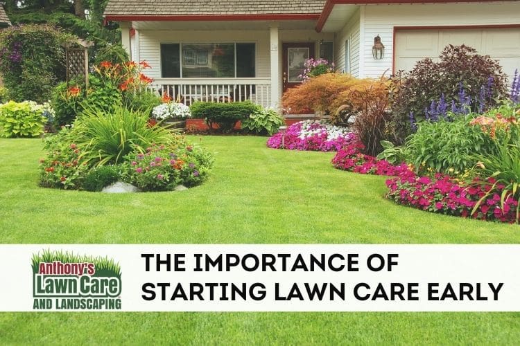 The Importance of Early Landscaping