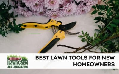 Best Lawn Tools for New Homeowners