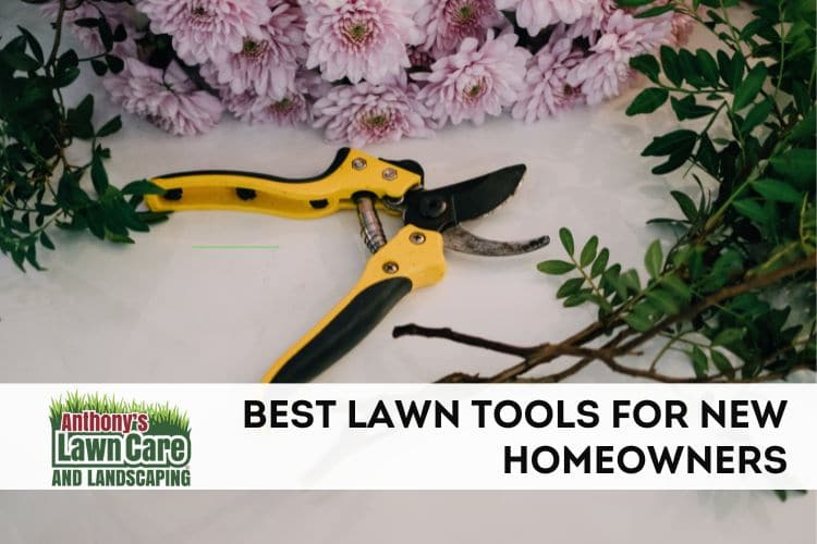 Best Lawn Tools for New Homeowners