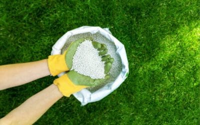 Are there benefits to regular chemical lawn treatments?