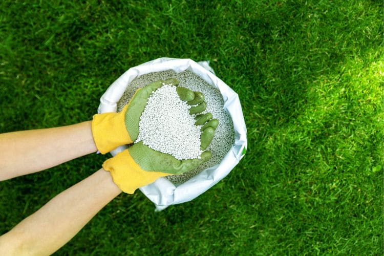 Are there benefits to regular chemical lawn treatments?