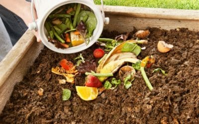How Do I Do My Own Composting