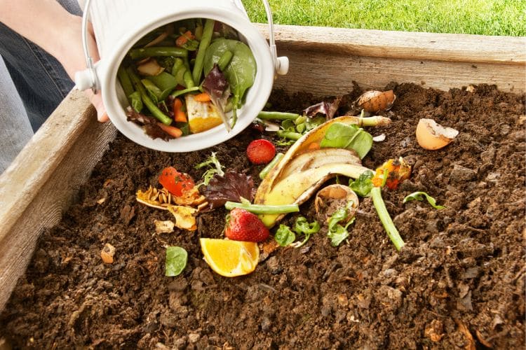 How Do I Do My Own Composting