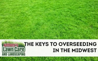 When Is the Best Time to Overseed in the Midwest and Is It Worth It?