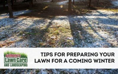 Tips for Using Landscaping to Prepare Your Yard for Winter