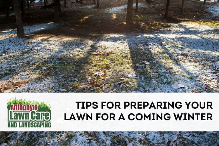 Tips for Using Landscaping to Prepare Your Yard for Winter