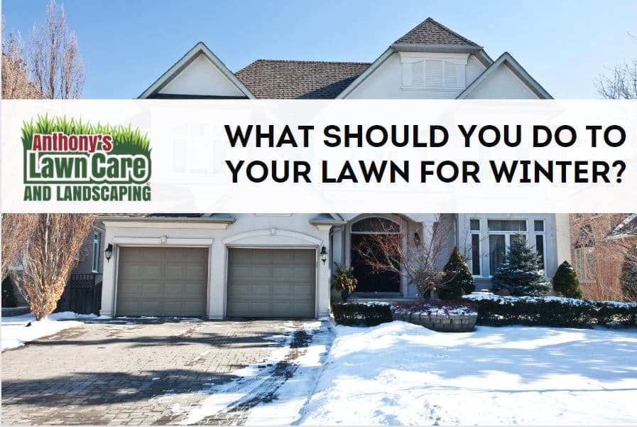 Pro Tips For Winter Lawn Care