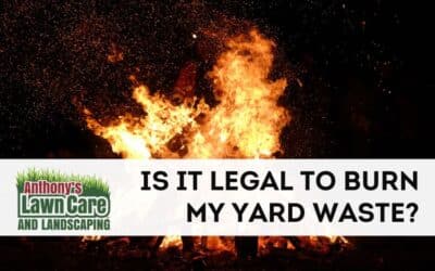 Is it Legal to Burn Yard Waste?