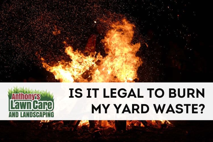 Is it Legal to Burn Yard Waste?