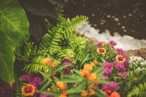 Landscaping Services Bloomington IN