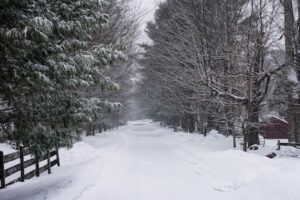 Snow Removal Service Bloomington IN
