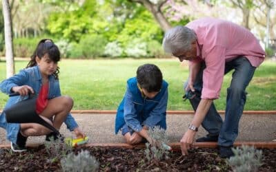 The Best Time To Water Grass & Plants in Summer
