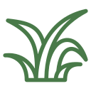 4633380 garden grass plant spring vegetation icon