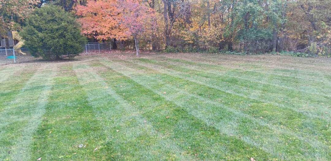 A freshly mowed lawn against a backdrop of fall trees, part of a Anthony's fall clean up service